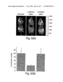 Methods and compositions for RNA interference diagram and image