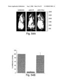 Methods and compositions for RNA interference diagram and image