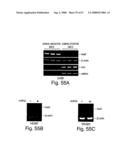 Methods and compositions for RNA interference diagram and image