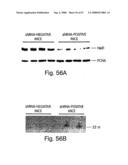 Methods and compositions for RNA interference diagram and image