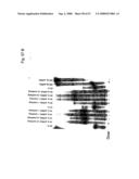 Methods and compositions for RNA interference diagram and image