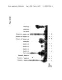 Methods and compositions for RNA interference diagram and image