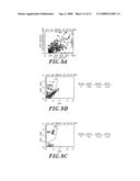 ISOLATION OF NEURAL STEM CELLS USING GANGLIOSIDES AND OTHER SURFACE MARKERS diagram and image