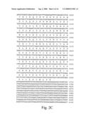 Methods for producing heterologous polypeptides in trichothecene-deficient filamentous fungal mutant cells diagram and image