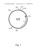 Methods for producing heterologous polypeptides in trichothecene-deficient filamentous fungal mutant cells diagram and image