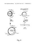 Methods for producing heterologous polypeptides in trichothecene-deficient filamentous fungal mutant cells diagram and image