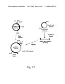 Methods for producing heterologous polypeptides in trichothecene-deficient filamentous fungal mutant cells diagram and image