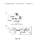 System and Methods for Stretching Polynucleotides diagram and image