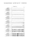 Polynucleotides encoding two novel human G-protein coupled receptors, HGPRBMY28 and HGPRBMY29, and splice variants thereof diagram and image