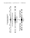 Look-Through Mutagenesis For Developing Altered Polypeptides With Enhanced Properties diagram and image