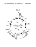 IN SITU ASSEMBLY OF PROTEIN MICROARRAYS diagram and image