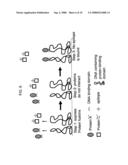 IN SITU ASSEMBLY OF PROTEIN MICROARRAYS diagram and image