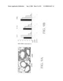 Methods and compositions for reducing activity of the atrial natriuretic peptide receptor and for treatment of diseases diagram and image