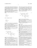 Methods for enhancing the efficacy of vascular disrupting agents diagram and image