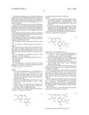 Methods for enhancing the efficacy of vascular disrupting agents diagram and image