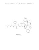 Paclitaxel enhancer compounds diagram and image