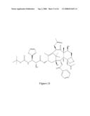 Paclitaxel enhancer compounds diagram and image