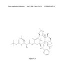 Paclitaxel enhancer compounds diagram and image