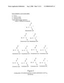 Therapeutic Malonic Acid/Acetic Acid C60 Tri-Adducts of Buckminsterfullerene and Methods Related Thereto diagram and image