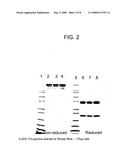 Method of isolating antibodies by precipitation diagram and image