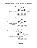 PLASMONIC ENGINEERING OF SINGLET OXYGEN AND/OR SUPEROXIDE GENERATION diagram and image