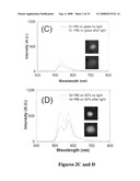 PLASMONIC ENGINEERING OF SINGLET OXYGEN AND/OR SUPEROXIDE GENERATION diagram and image