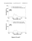 PLASMONIC ENGINEERING OF SINGLET OXYGEN AND/OR SUPEROXIDE GENERATION diagram and image