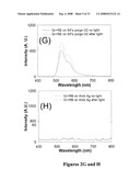 PLASMONIC ENGINEERING OF SINGLET OXYGEN AND/OR SUPEROXIDE GENERATION diagram and image