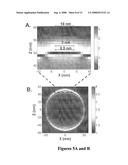 PLASMONIC ENGINEERING OF SINGLET OXYGEN AND/OR SUPEROXIDE GENERATION diagram and image