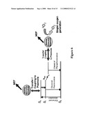 PLASMONIC ENGINEERING OF SINGLET OXYGEN AND/OR SUPEROXIDE GENERATION diagram and image