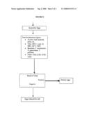 Method of Frozen Donor Egg Banking diagram and image