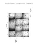 SHAPED NANOCRYSTAL PARTICLES AND METHODS FOR MAKING THE SAME diagram and image