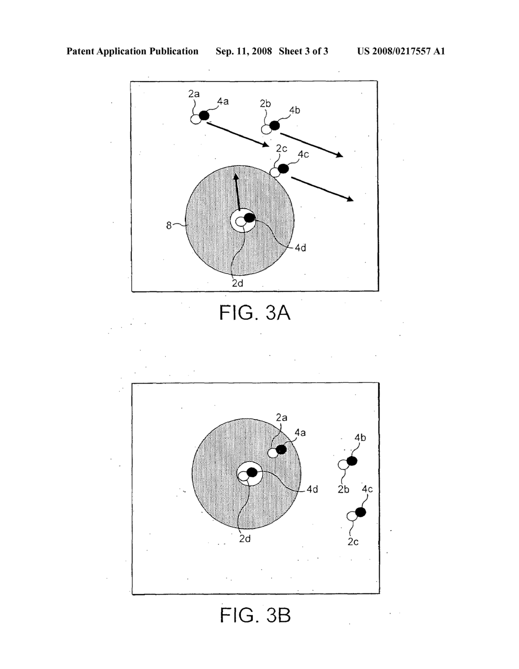 Method and Apparatus For Analyzing a Dynamic Sample - diagram, schematic, and image 04
