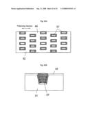 SURFACE PLASMON RESONANCE SENSOR AND SENSOR CHIP diagram and image