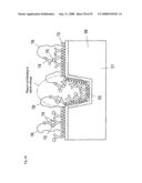 SURFACE PLASMON RESONANCE SENSOR AND SENSOR CHIP diagram and image