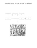 MEANS FOR USING MICROSTRUCTURE OF MATERIALS SURFACE AS A UNIQUE IDENTIFIER diagram and image