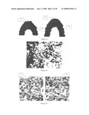 MEANS FOR USING MICROSTRUCTURE OF MATERIALS SURFACE AS A UNIQUE IDENTIFIER diagram and image