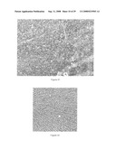 MEANS FOR USING MICROSTRUCTURE OF MATERIALS SURFACE AS A UNIQUE IDENTIFIER diagram and image