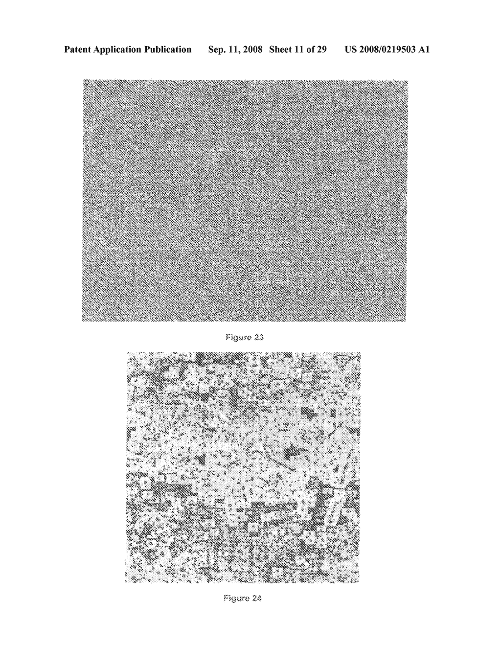 MEANS FOR USING MICROSTRUCTURE OF MATERIALS SURFACE AS A UNIQUE IDENTIFIER - diagram, schematic, and image 12
