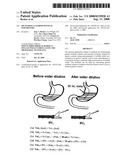 Measuring Gastrointestinal Parameters diagram and image