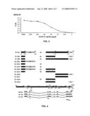 IL-32 MONOCLONAL ANTIBODIES AND USES THEREOF diagram and image