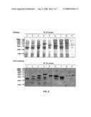 IL-32 MONOCLONAL ANTIBODIES AND USES THEREOF diagram and image