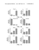 Method for Modulating Inflammatory Responses diagram and image