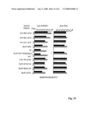 Rodent hepatitis B virus core proteins as vaccine platforms and methods of thereof diagram and image