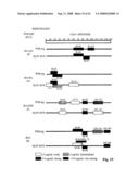 Rodent hepatitis B virus core proteins as vaccine platforms and methods of thereof diagram and image