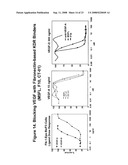 Compositions and methods for intraocular delivery of fibronectin scaffold domain proteins diagram and image