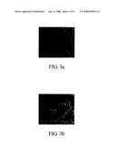 Controlled release system and manufacturing method thereof diagram and image