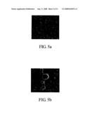 Controlled release system and manufacturing method thereof diagram and image