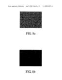 Controlled release system and manufacturing method thereof diagram and image