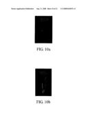 Controlled release system and manufacturing method thereof diagram and image